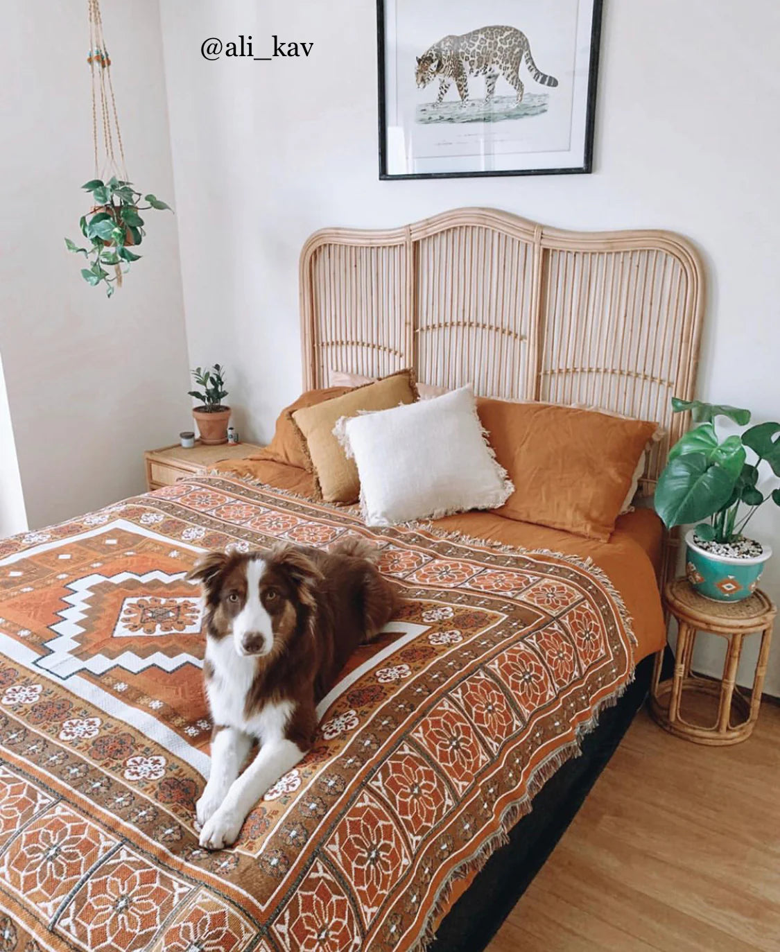 The Sunrise Rug