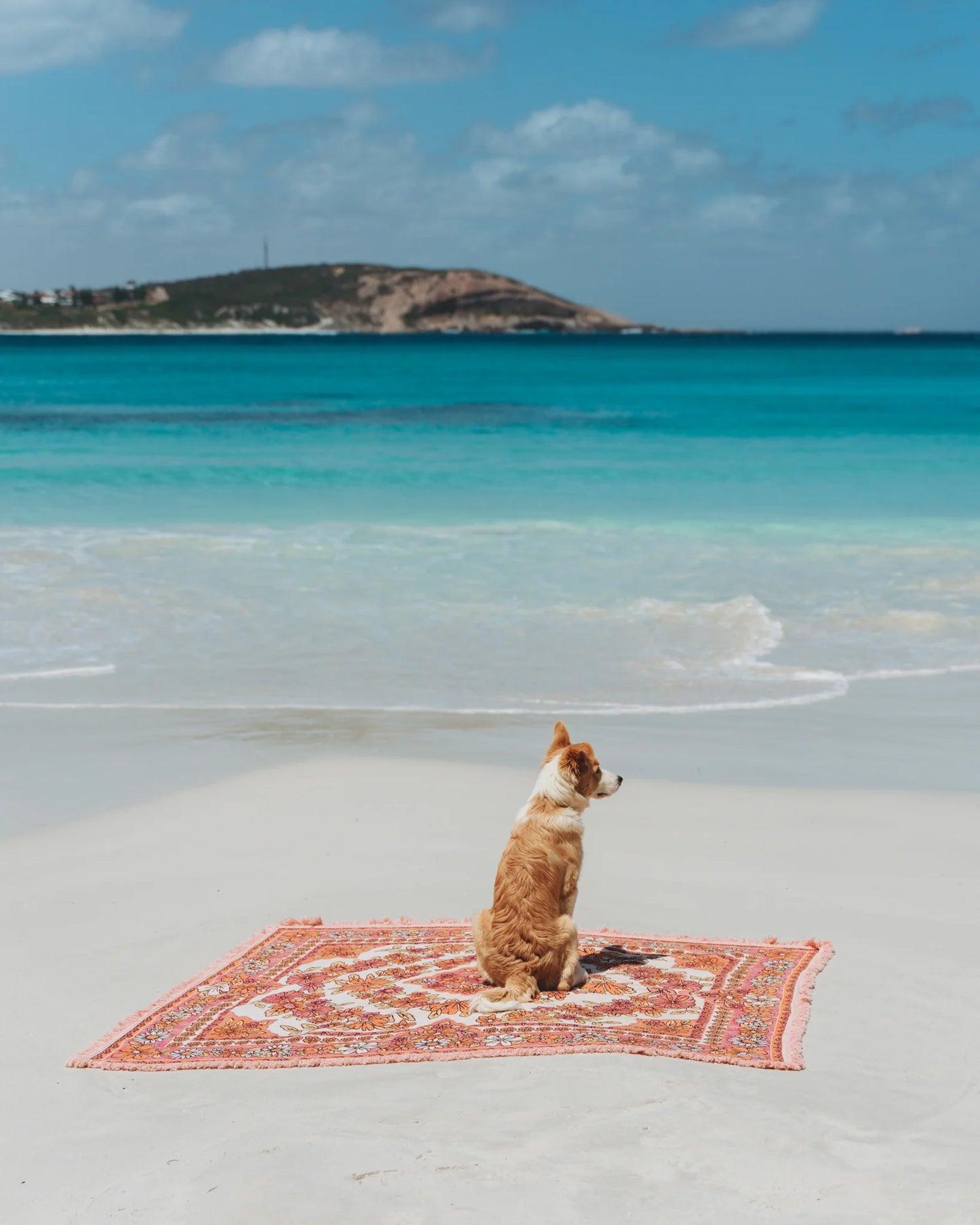 The Daisy Pink Rug